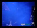 Virginia Maestro Palau Sant Jordi -Moonlight Shadow -