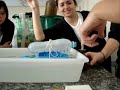 Science Tech 2008