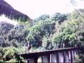 videos de may 1 newbie ride