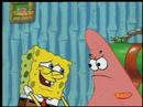 Spongi Spongi