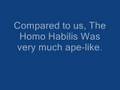 A Day In The Life Of A Homo Habilis (Plus Comparisons)
