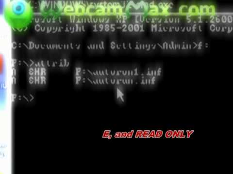 how to remove vbs autorun worm k