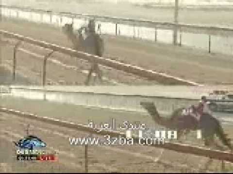 حشمه تهدي الناموس لفزاع2009
