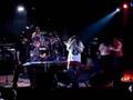 Shotgun Blues - Paradise City