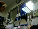 Peggy Sheehy Security System.wmv