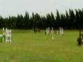 campeonato españa alevines