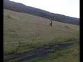 Mates On Crossers