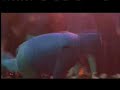 seth deans one of my best old school freinds, he's a great d.j. with tons of potential and style. i made this video from style wars and beat street, special feauture on crazy legs.so i whipped this up today to make a quick music vid for seth. enjoy. no school like the old school.