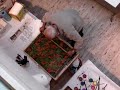 Marbling Demo