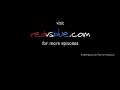 red vs blue sarge