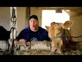 Kevin James- Barnyard Bloopers-I Am Cow Kevin James- Barnyard Bloopers-I Am Cow