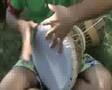 Onur darbuka solo 2