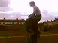catwoman-principles.html