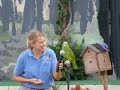 The Amazing Groucho at the Birds of the World Show