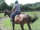 PAR UN MIESQUE - Debourrage au Haras des Chartreux - ao�t 08