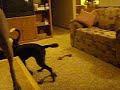 luna,amara,kya.AVI