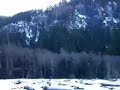 green-river-in-mount-rainier-national-park.html