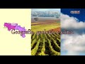 15 - 2ª Parte: DO RIOja y DO Ribera del Duero