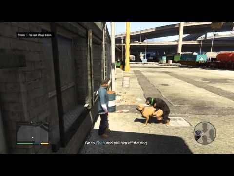 how to control chop gta v