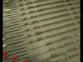 אלעזר שטרן - סיכום קמפיין ישראלי אמיתי לא משתמט