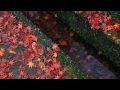 【HD】2009年紅葉の京都・滋賀に行ってきた(16)【建仁寺~】