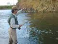 fly fishing for salmon in alaska