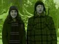 videos de Ron and Hermione - How Do You Do