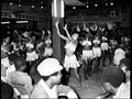 M.O.P(movement of the people) FELA KUTI