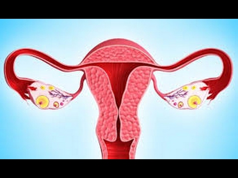 Видео: Лучшие способы быстро забеременеть