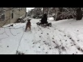 she was a puppy when this snow fell..kids in neighborhood..brownie loved it..wanted to save so putting here...
