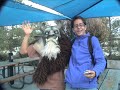 Promocional ITESM Zacatecas Botargas