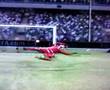FIFA 2008 Matt Holland