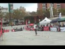 Plasson IFSA Barcelona 2008