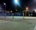 CJ Daruca