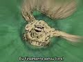[Revolution] EPI 78 Part 2