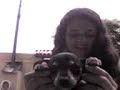 bonde dos saradinhu