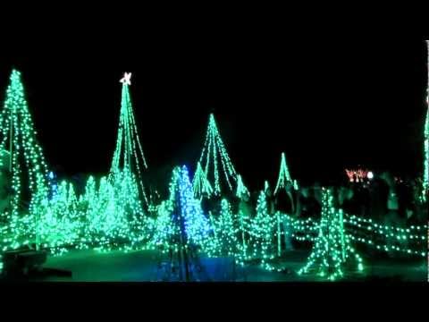 chain reaction cycles