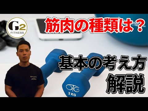 [筋肉基礎知識]トレーニングするなら知っておくべき速筋と遅筋について解説します