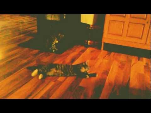 Video0120 - 
