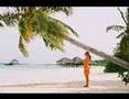 vocation in paradise ( Maldives )