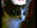 videos de Snickers Mp3 chritmass.wmv