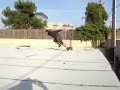 Stunts