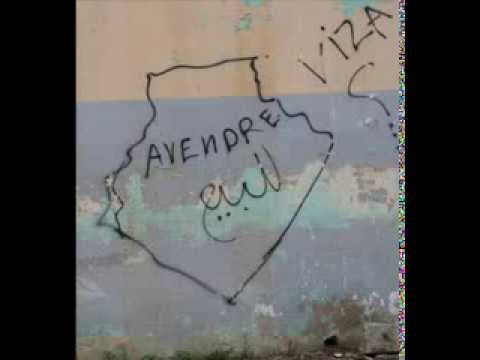 زب جزائري