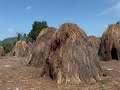 ETIOPIA CON VIAJES A�OS LUZ