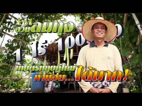 เกษตรทฤษฎีใหม่ 1ไร่ 1แสน