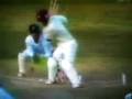 windies celebrate important draw 2009, vs England