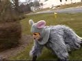 Andy in his possum suit.