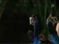 The Peacock Pests