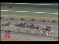 videos de [レースリプレイ] 081115 3福島7 11R 福島放送賞