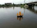videos de big eyed chicken sailing junk rc